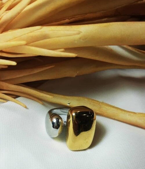 Δαχτυλίδι Δίχρωμο